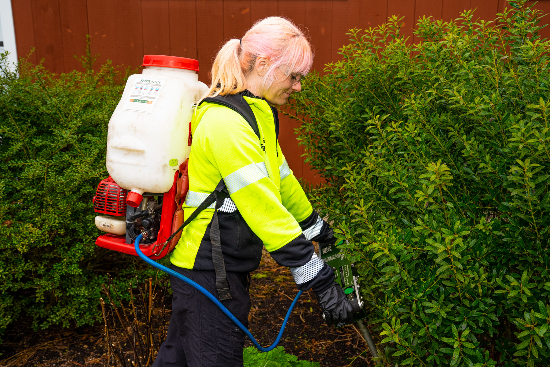 Plant Health Care Services Southern NH, ME, & MA Seacoast Tree Care